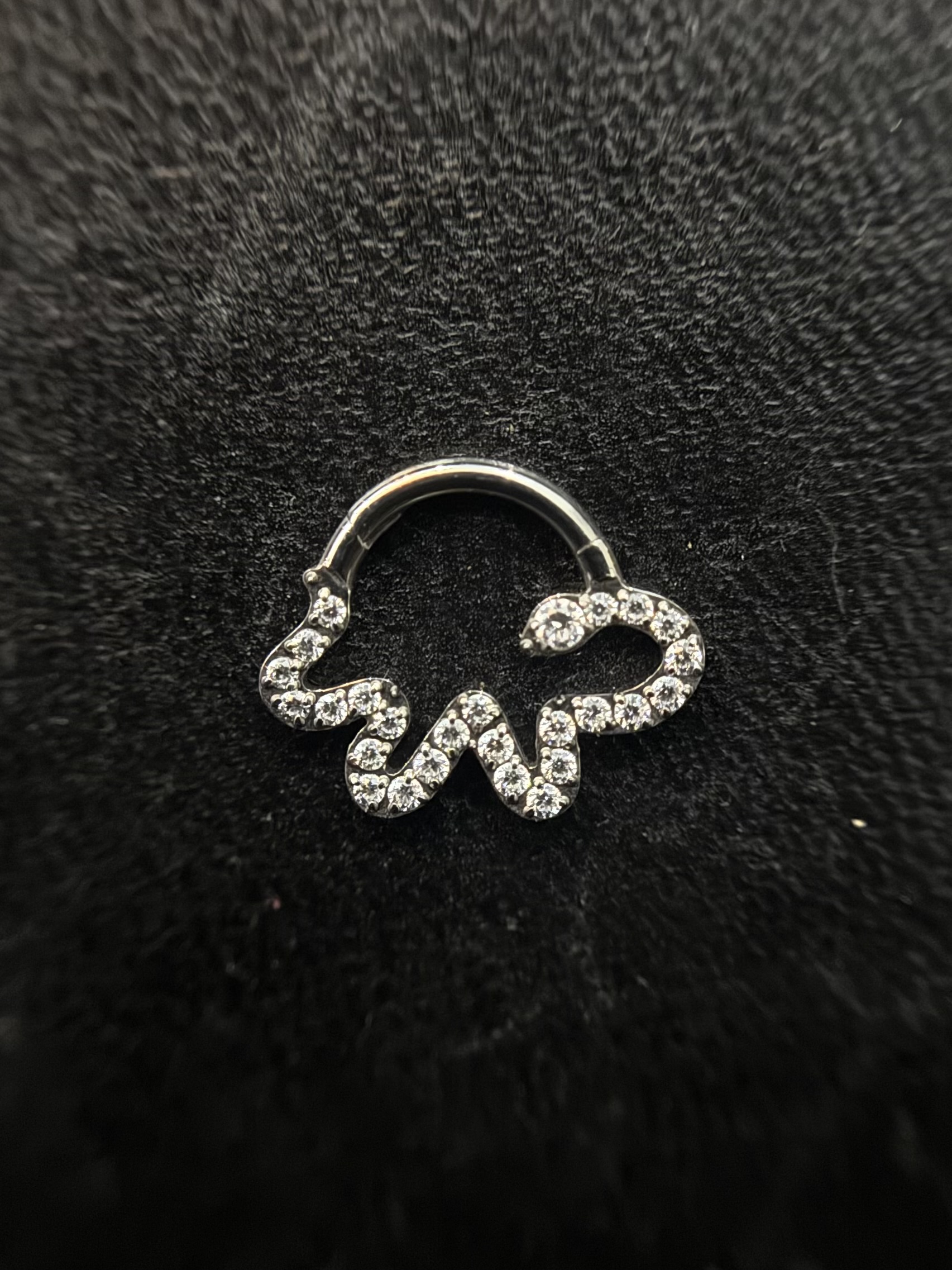 Argola Cobra Luxo
