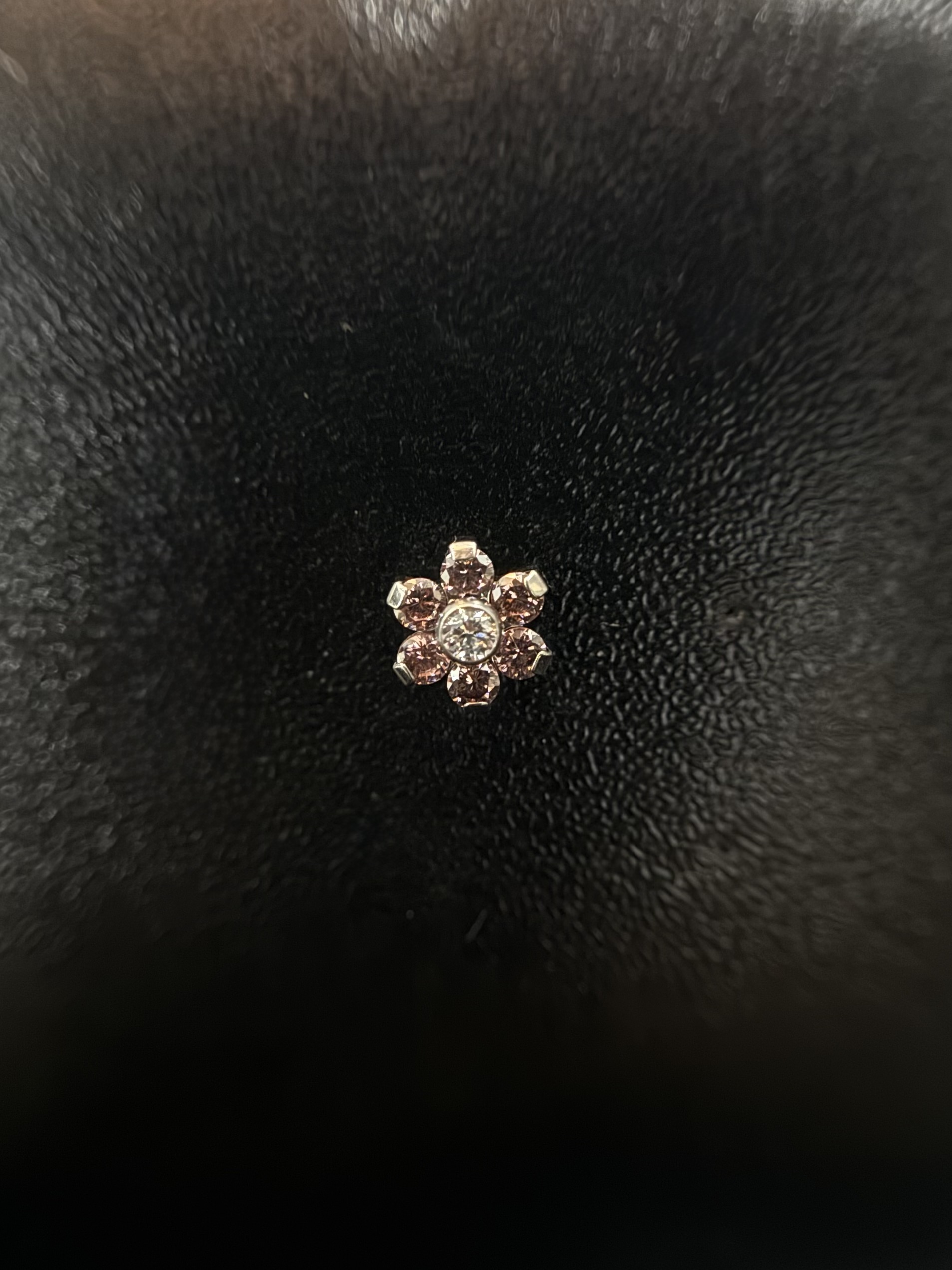 Labret Flor Rosa Meio Transparente 