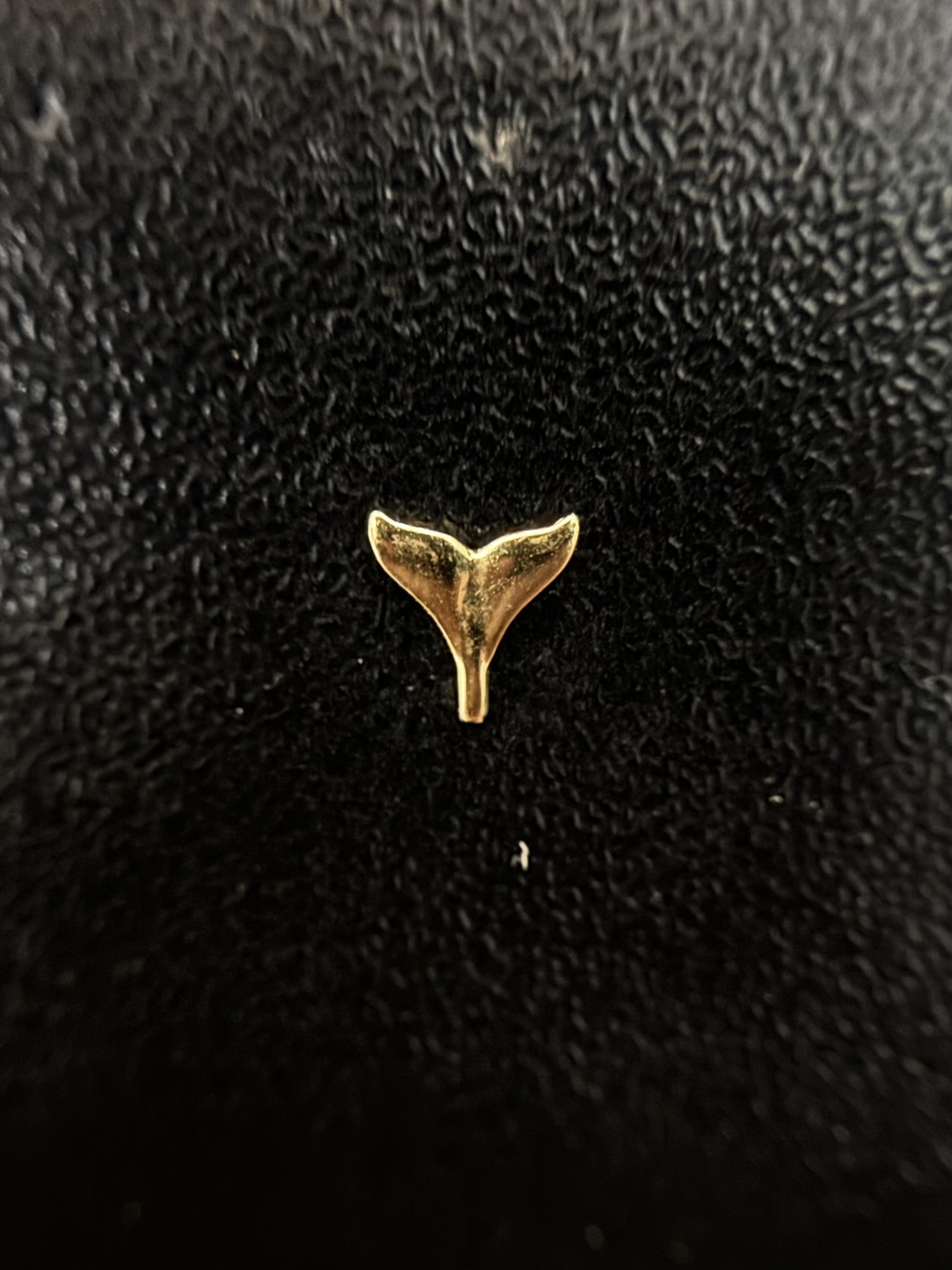 Labret Cauda de Baleia