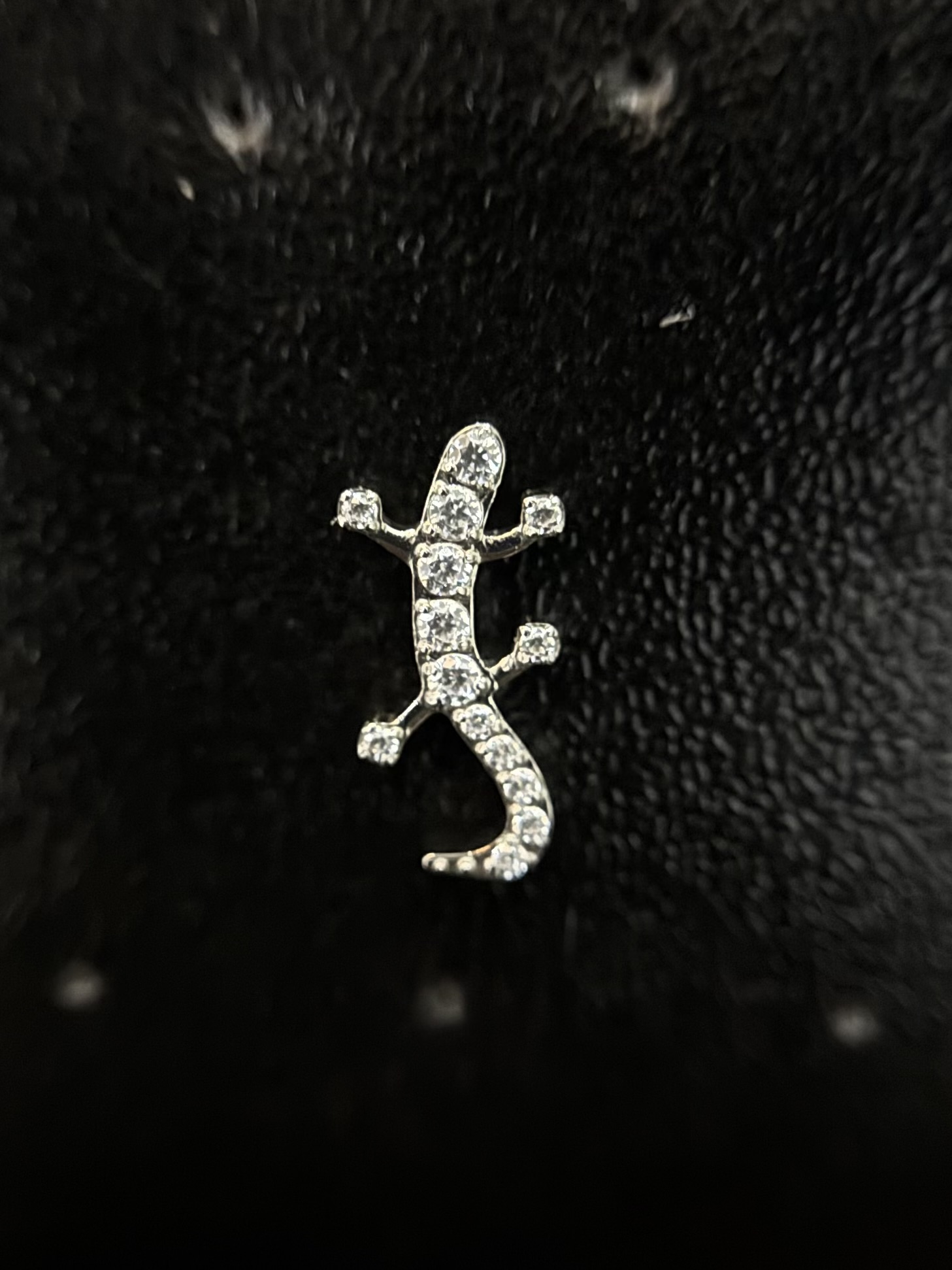 Labret Lagartixa 