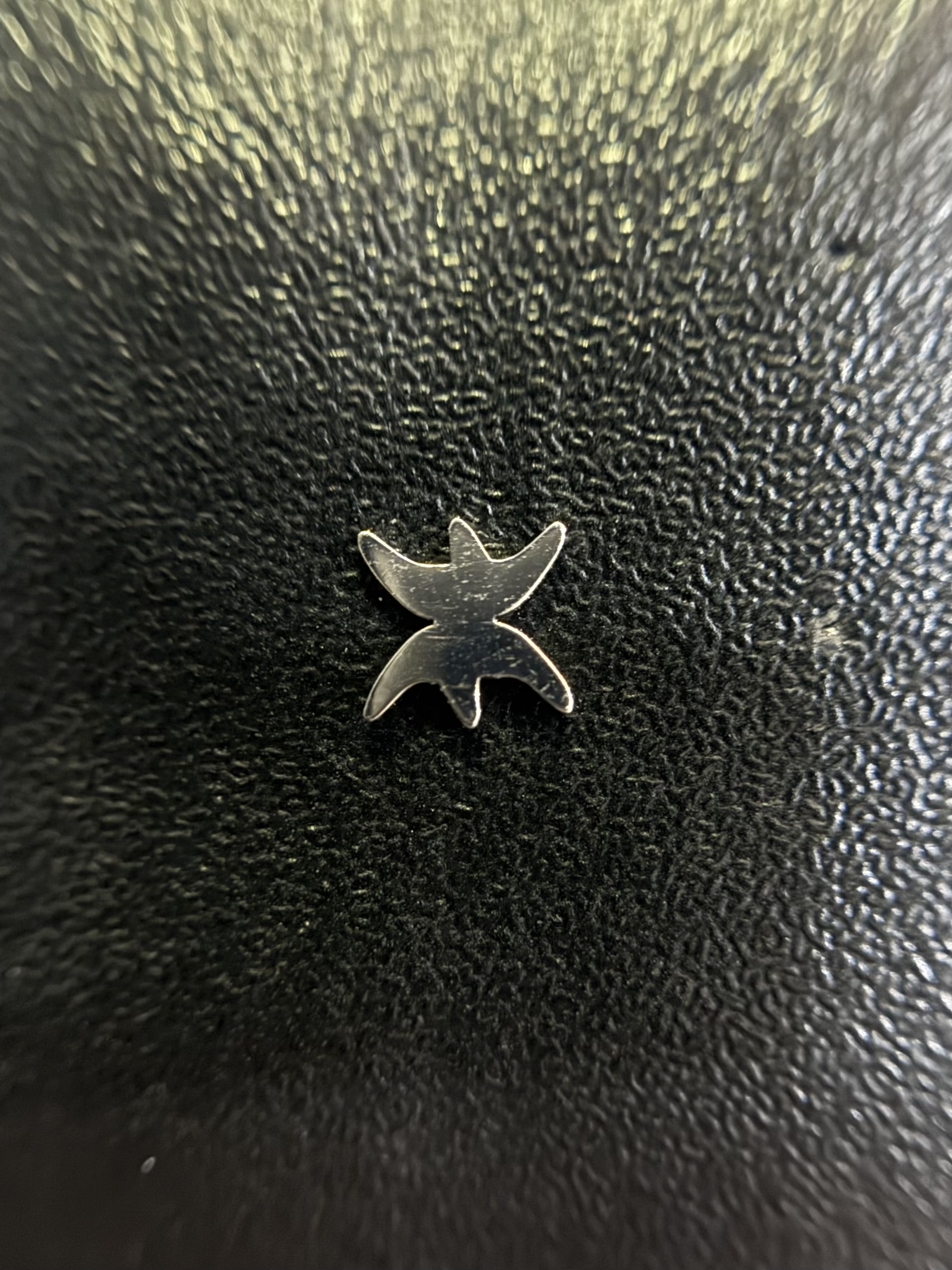 Labret Signo Peixes