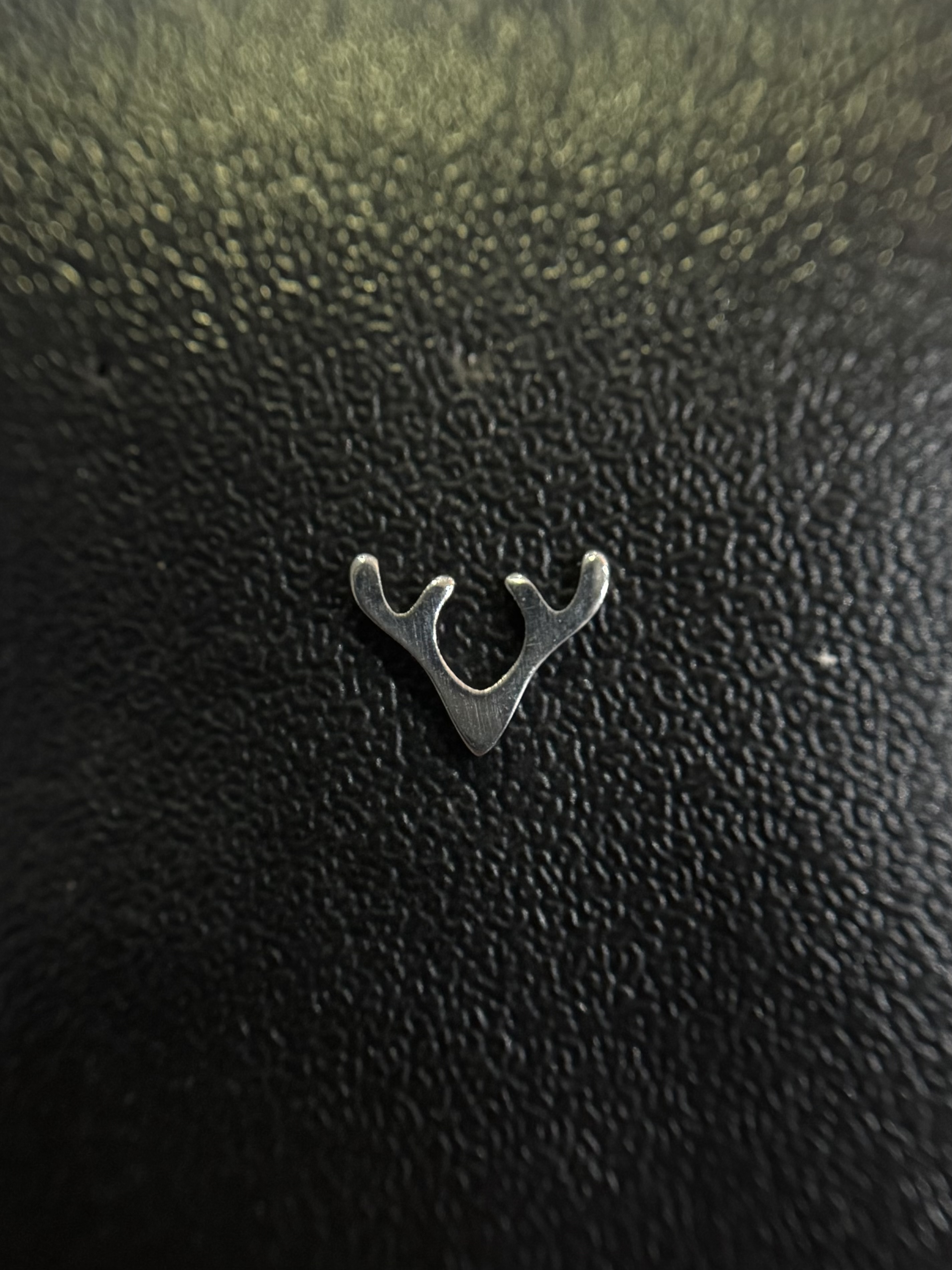 Labret Cervo Liso