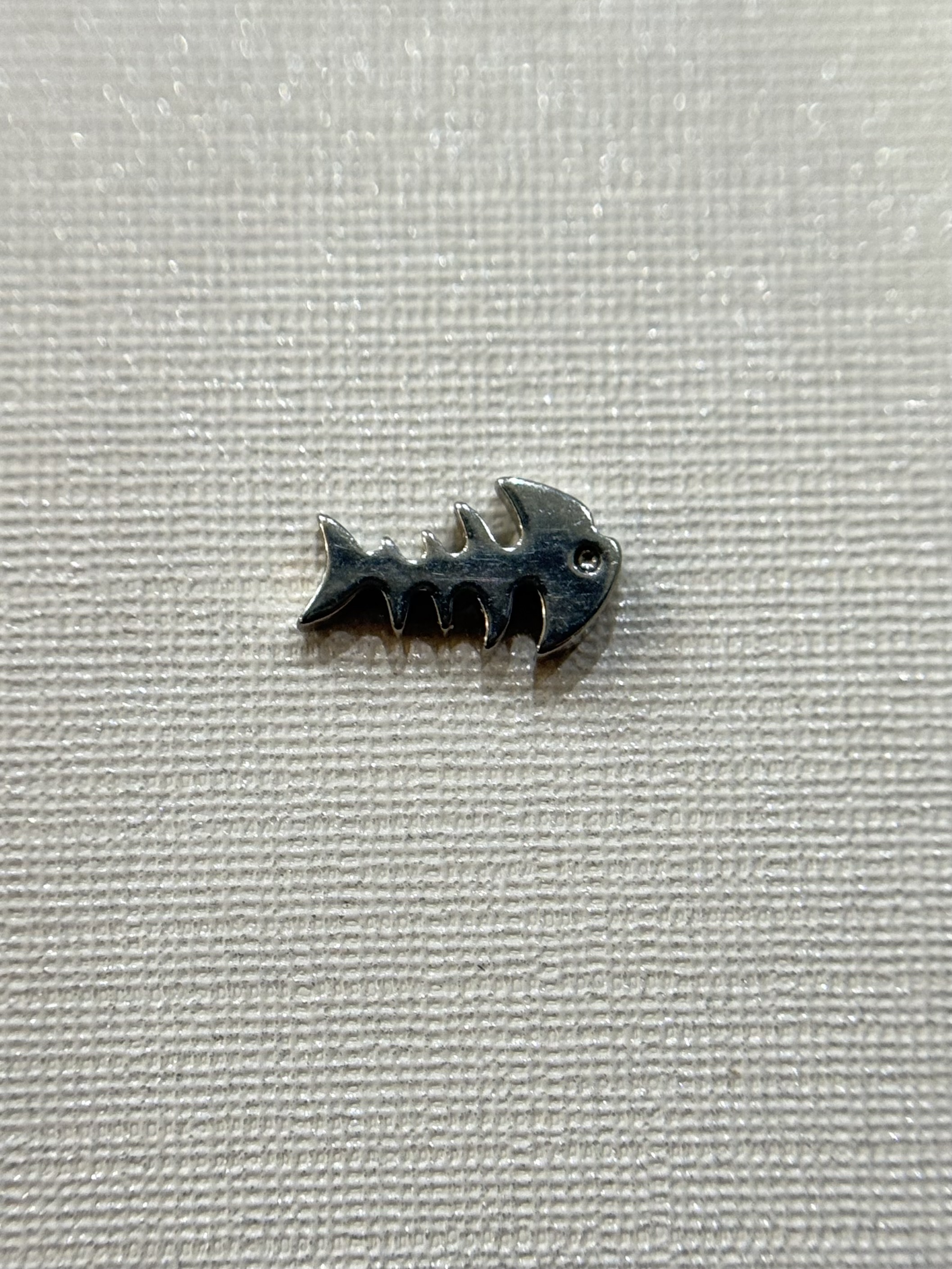 Labret Esqueleto de Peixe