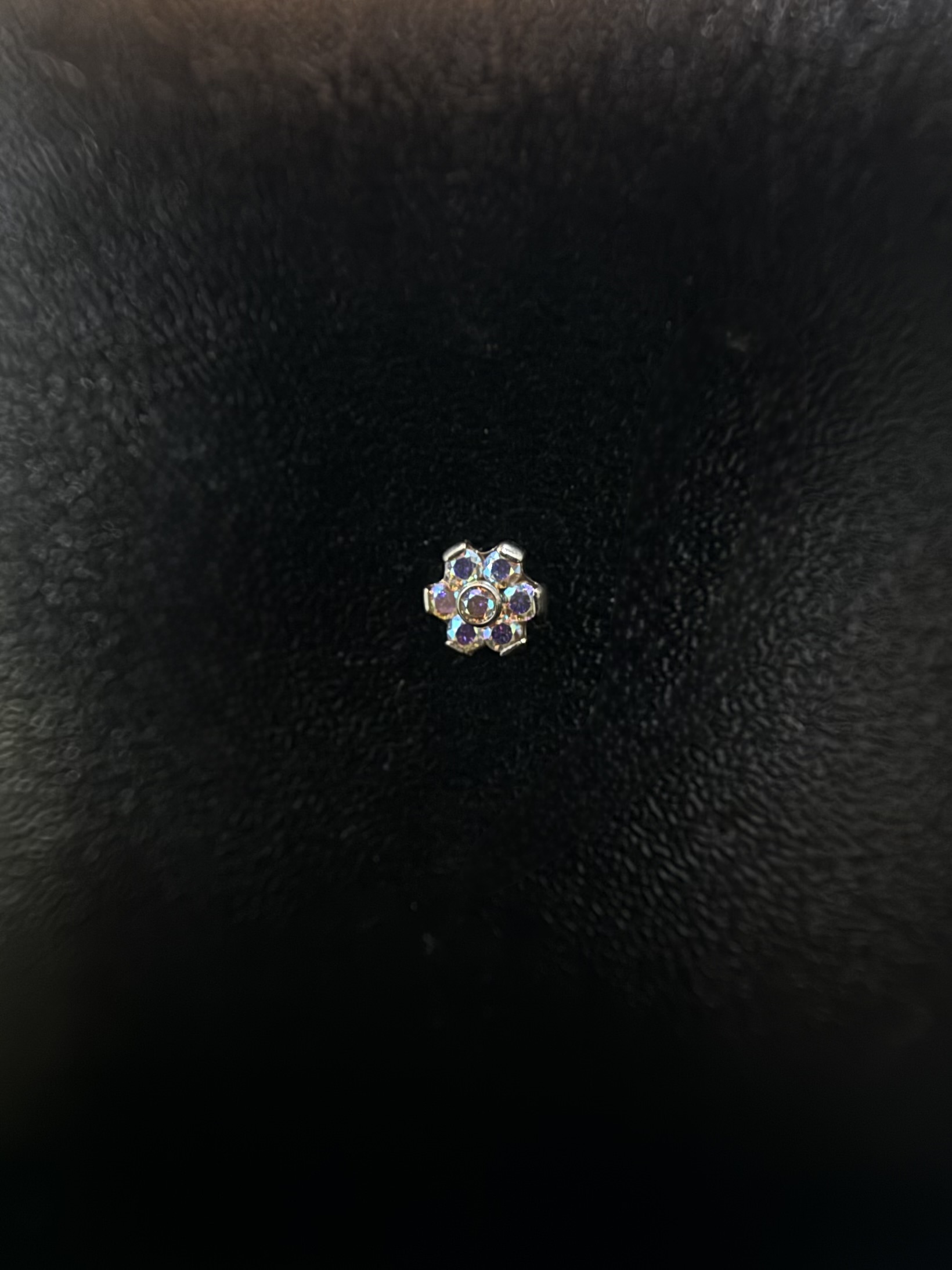 Labret Flor Boreal