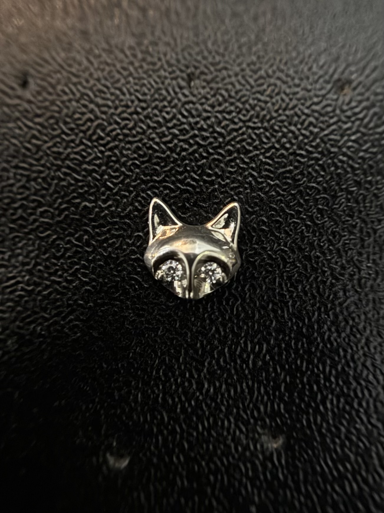 Labret Rosto Gatinho