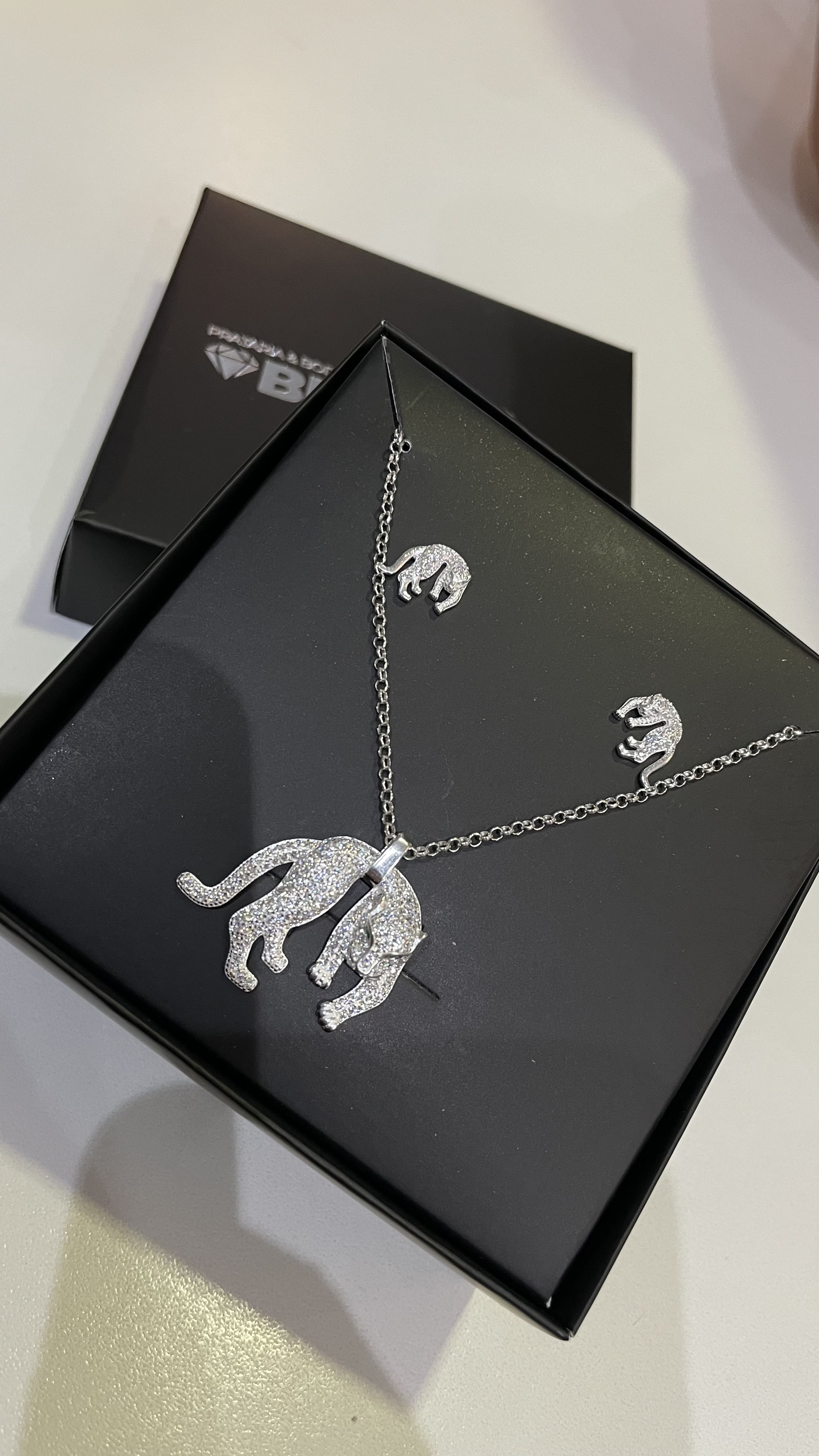 Conjunto Onça 